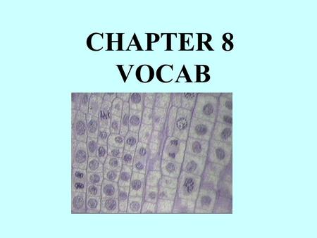 CHAPTER 8 VOCAB. Type of cell division used by organisms to grow bigger, repair injuries, and replace worn out cells. Condition in which a cell has grown.