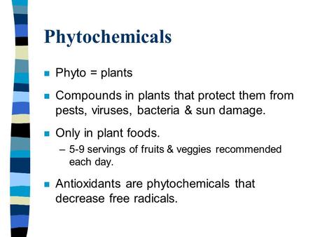 Phytochemicals n Phyto = plants n Compounds in plants that protect them from pests, viruses, bacteria & sun damage. n Only in plant foods. –5-9 servings.