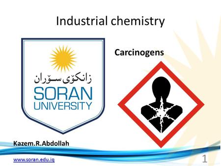 Www.soran.edu.iq Industrial chemistry Kazem.R.Abdollah Carcinogens 1.