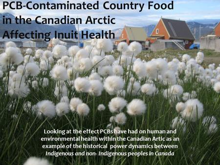 PCB-Contaminated Country Food in the Canadian Arctic Affecting Inuit Health Looking at the effect PCBs have had on human and environmental health within.