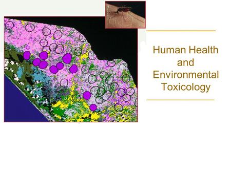 Human Health and Environmental Toxicology. Human Health Overall human health best assessed by: 1) Life expectancy (years) 2) Infant mortality (# deaths.