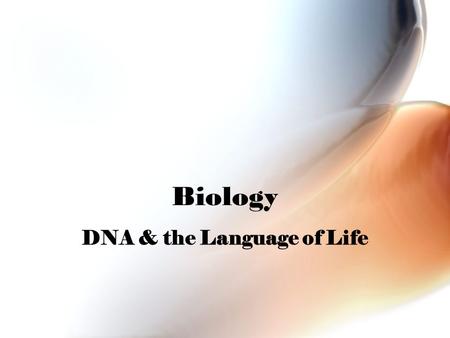 Biology DNA & the Language of Life. Genes are Made of DNA Fredrick Griffith (1928) studied pneumonia strains (one was harmless while the other was pathogenic,