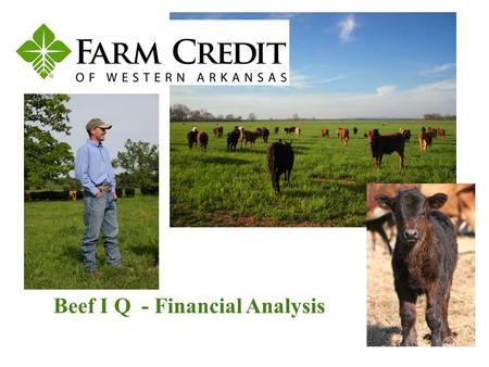Beef I Q - Financial Analysis. The primary emphasis of financial analysis is to properly assess business risk in the lending decision. Financial analysis.