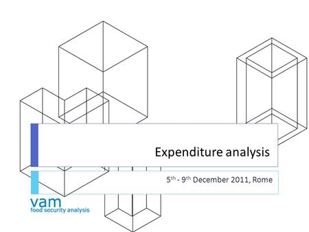 Expenditure analysis 5 th - 9 th December 2011, Rome.