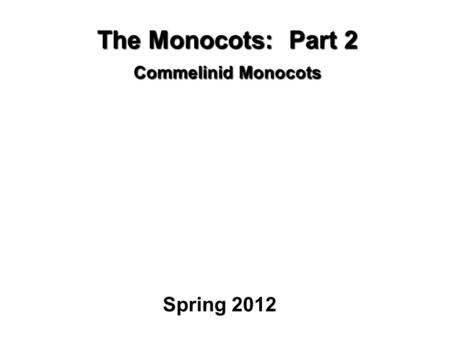 The Monocots: Part 2 Commelinid Monocots Spring 2012.