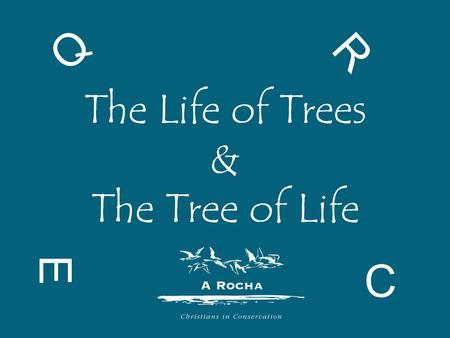 The Life of Trees & The Tree of Life E R C Q. What does life depend on?
