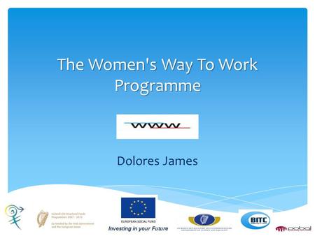 The Women's Way To Work Programme Dolores James.  Established in 1999  Training 600 people per year  BITC’s Ethos  Community Service Programme The.