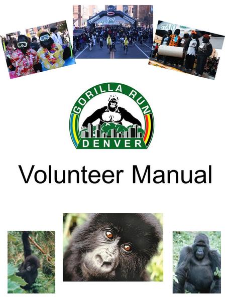Volunteer Manual. Thank You! Thank you so much for your willingness to help at the Denver Gorilla Run! Volunteers are an important part of our fundraising.