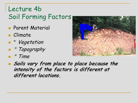 Lecture 4b Soil Forming Factors Parent Material Climate * Vegetation * Topography * Time Soils vary from place to place because the intensity of the factors.