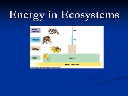 Energy in Ecosystems.