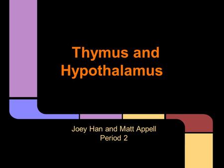 Thymus and Hypothalamus Joey Han and Matt Appell Period 2.