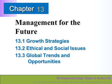 Entrepreneurship: Ideas in Action 5e © 2011 Cengage Learning. All rights reserved. May not be scanned, copied or duplicated, or posted to a publicly accessible.