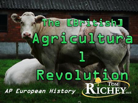 Origins (17 th century): England “Low Countries”
