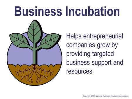 Copyright 2005 National Business Incubation Association Helps entrepreneurial companies grow by providing targeted business support and resources Business.