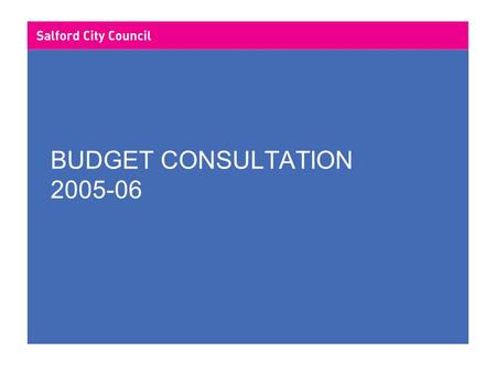 BUDGET CONSULTATION 2005-06. LOCAL GOVERNMENT FINANCE CONTENTS 2004/05 Revenue Budget Analysis Council Tax Future Developments in Local Government Finance.