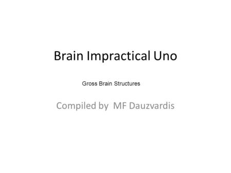 Brain Impractical Uno Compiled by MF Dauzvardis Gross Brain Structures.