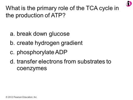 © 2012 Pearson Education, Inc. What is the primary role of the TCA cycle in the production of ATP? a.break down glucose b.create hydrogen gradient c.phosphorylate.
