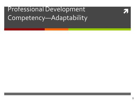  1 Professional Development Competency—Adaptability.