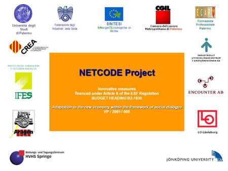 NETCODE Project Innovative measures financed under Article 6 of the ESF Regulation BUDGET HEADING B2-1630 Adaptation to the new economy within the framework.