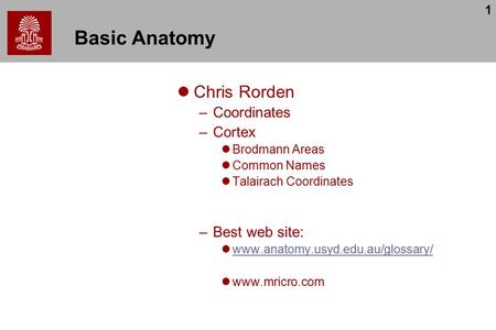 1 Basic Anatomy Chris Rorden –Coordinates –Cortex Brodmann Areas Common Names Talairach Coordinates –Best web site: www.anatomy.usyd.edu.au/glossary/ www.mricro.com.