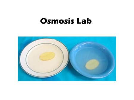 Osmosis Lab. Definition of Osmosis WATER moves from an area of HIGH to LOW concentration.