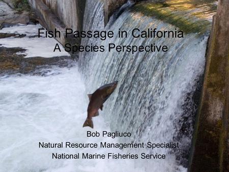 Fish Passage in California A Species Perspective Bob Pagliuco Natural Resource Management Specialist National Marine Fisheries Service.