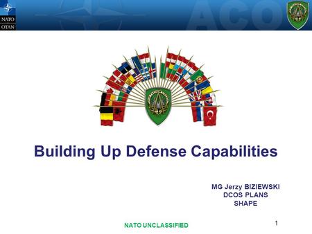 Building Up Defense Capabilities