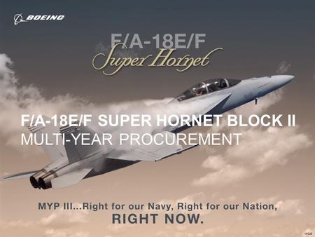 F/A-18E/F SUPER HORNET BLOCK II MULTI-YEAR PROCUREMENT
