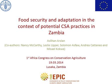 Aslihan Arslan (Co-authors: Nancy McCarthy, Leslie Lipper, Solomon Asfaw, Andrea Cattaneo and Misael Kokwe) 1 st Africa Congress on Conservation Agriculture.