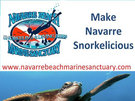 History of Sanctuary  Began in 1999  2003 – Director of Florida Park Service revoked promise to build marine sanctuary  2004 – Navarre Beach Park completed.