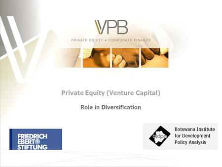 Private Equity (Venture Capital) Role in Diversification.