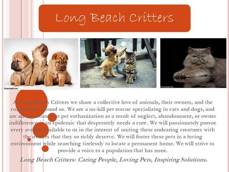 At Long Beach Critters we share a collective love of animals, their owners, and the community around us. We are a no-kill pet rescue specializing in cats.