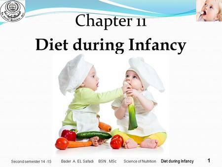 Chapter 11 Diet during Infancy yyjdtd