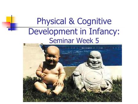 Physical & Cognitive Development in Infancy: Seminar Week 5.