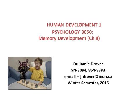 HUMAN DEVELOPMENT 1 PSYCHOLOGY 3050: Memory Development (Ch 8)