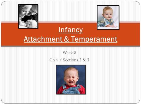 Infancy Attachment & Temperament