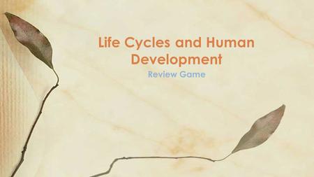 Review Game Life Cycles and Human Development. Question 1 What is a fertilized egg called?