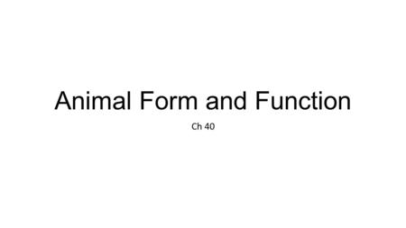 Animal Form and Function Ch 40. A single-celled animal living in water Figure 40.3a Organisms must exchange matter and energy with the environment. Diffusion.
