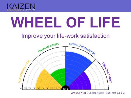 WHEEL OF LIFE Improve your life-work satisfaction.