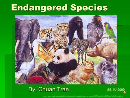 Endangered Species By: Chuan Tran SBI4U 2009