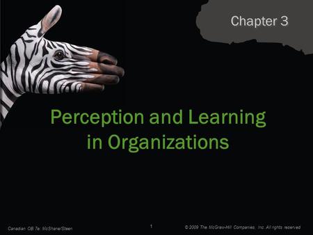 Perception and Learning in Organizations