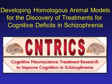 Developing Homologous Animal Models for the Discovery of Treatments for Cognitive Deficits in Schizophrenia.