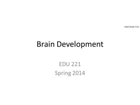 Brain Development EDU 221 Spring 2014. Understanding Brain Development Parents, teachers, and others who closely observe children have long recognized.