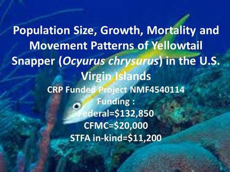 Population Size, Growth, Mortality and Movement Patterns of Yellowtail Snapper (Ocyurus chrysurus) in the U.S. Virgin Islands CRP Funded Project NMF4540114.