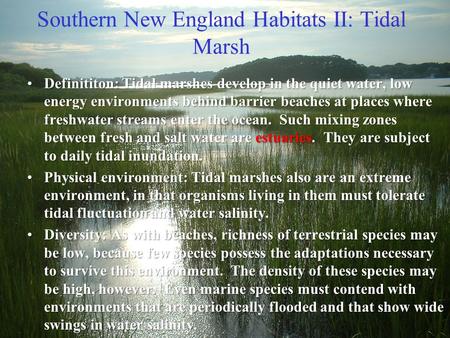 Southern New England Habitats II: Tidal Marsh Definititon: Tidal marshes develop in the quiet water, low energy environments behind barrier beaches at.