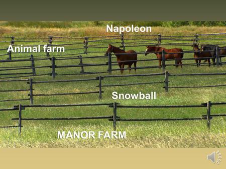 Napoleon MANOR FARM Animal farm Snowball. CHARACTERS.