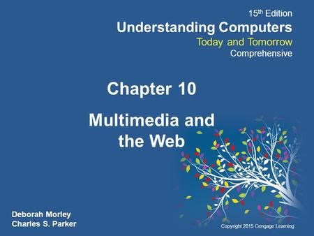 Chapter 10 Multimedia and the Web.