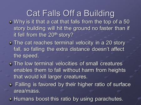 Cat Falls Off a Building