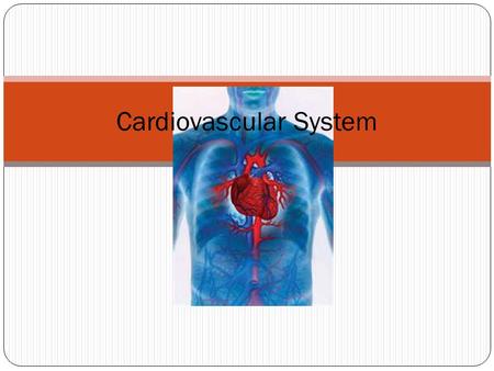 Cardiovascular System. The components to this system Heart Blood vessels Blood.