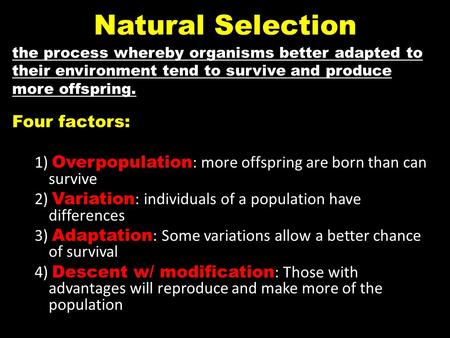 Natural Selection Four factors: